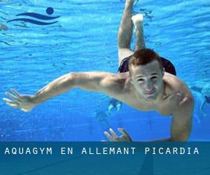 Aquagym en Allemant (Picardía)