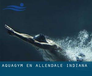 Aquagym en Allendale (Indiana)