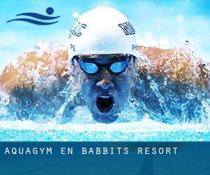 Aquagym en Babbits Resort