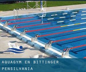 Aquagym en Bittinger (Pensilvania)