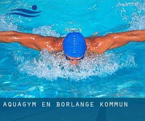 Aquagym en Borlänge Kommun