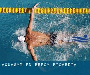 Aquagym en Brécy (Picardía)