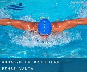 Aquagym en Brushtown (Pensilvania)