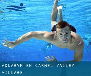 Aquagym en Carmel Valley Village