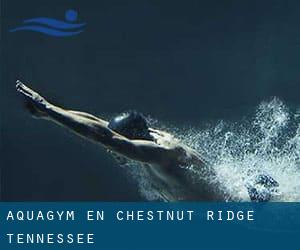 Aquagym en Chestnut Ridge (Tennessee)