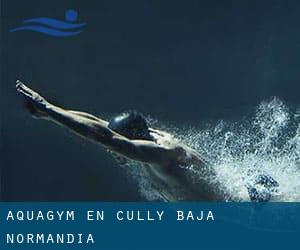 Aquagym en Cully (Baja Normandía)