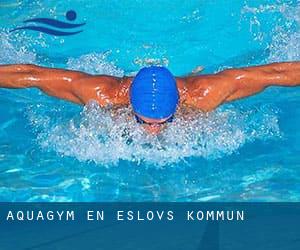 Aquagym en Eslövs Kommun