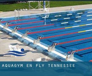 Aquagym en Fly (Tennessee)