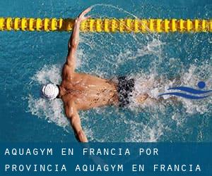 Aquagym en Francia por Provincia (Aquagym en Francia) - página 1