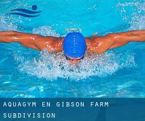 Aquagym en Gibson Farm Subdivision