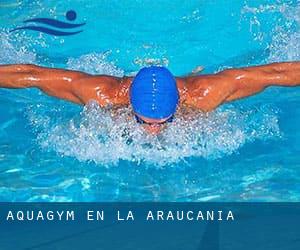 Aquagym en la Araucanía