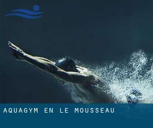 Aquagym en Le Mousseau