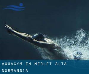 Aquagym en Merlet (Alta Normandía)