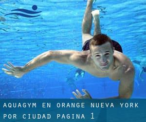 Aquagym en Orange Nueva York por Ciudad - página 1