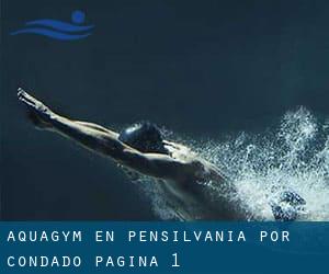 Aquagym en Pensilvania por Condado - página 1