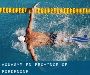 Aquagym en Province of Pordenone