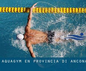 Aquagym en Provincia di Ancona