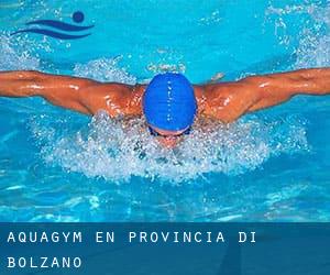 Aquagym en Provincia di Bolzano