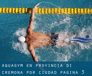 Aquagym en Provincia di Cremona por Ciudad - página 3