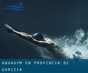 Aquagym en Provincia di Gorizia