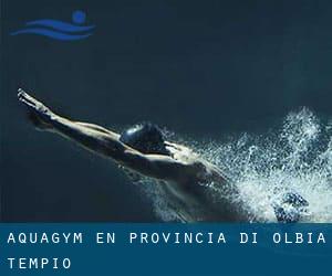 Aquagym en Provincia di Olbia-Tempio