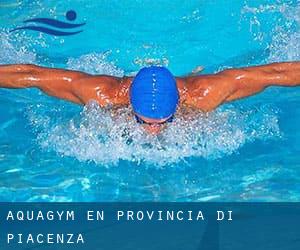 Aquagym en Provincia di Piacenza