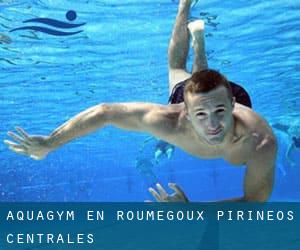 Aquagym en Roumégoux (Pirineos Centrales)