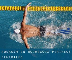 Aquagym en Roumégoux (Pirineos Centrales)