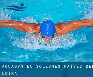 Aquagym en Solesmes (Países del Loira)