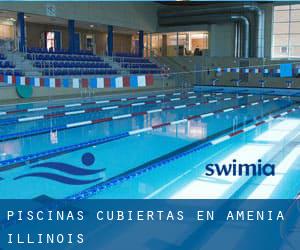 Piscinas cubiertas en Amenia (Illinois)