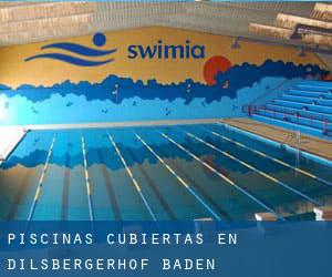 Piscinas cubiertas en Dilsbergerhof (Baden-Württemberg)