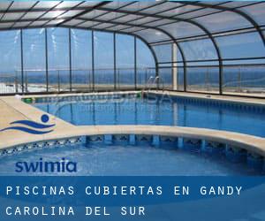 Piscinas cubiertas en Gandy (Carolina del Sur)