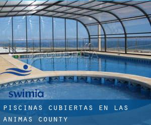 Piscinas cubiertas en Las Animas County