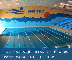 Piscinas cubiertas en Meadow Brook (Carolina del Sur)