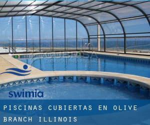 Piscinas cubiertas en Olive Branch (Illinois)