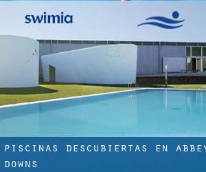 Piscinas descubiertas en Abbey Downs