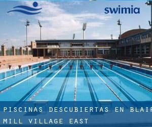 Piscinas descubiertas en Blair Mill Village East