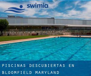 Piscinas descubiertas en Bloomfield (Maryland)