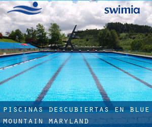 Piscinas descubiertas en Blue Mountain (Maryland)