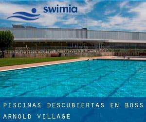 Piscinas descubiertas en Boss Arnold Village