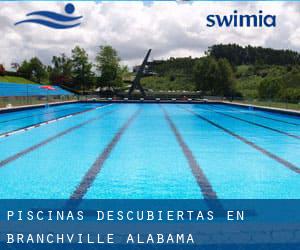 Piscinas descubiertas en Branchville (Alabama)