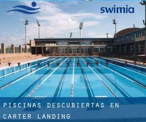 Piscinas descubiertas en Carter Landing