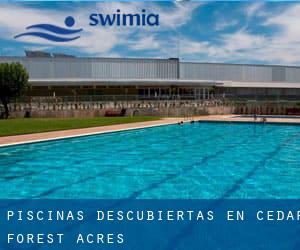 Piscinas descubiertas en Cedar Forest Acres