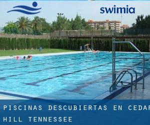 Piscinas descubiertas en Cedar Hill (Tennessee)