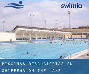 Piscinas descubiertas en Chippewa-on-the-Lake