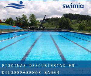 Piscinas descubiertas en Dilsbergerhof (Baden-Württemberg)