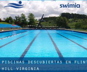 Piscinas descubiertas en Flint Hill (Virginia)