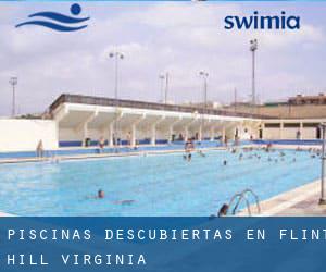 Piscinas descubiertas en Flint Hill (Virginia)