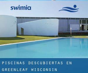 Piscinas descubiertas en Greenleaf (Wisconsin)