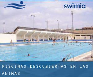 Piscinas descubiertas en Las Animas